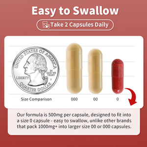 Red Yeast Rice with Nattokinase & CoQ10